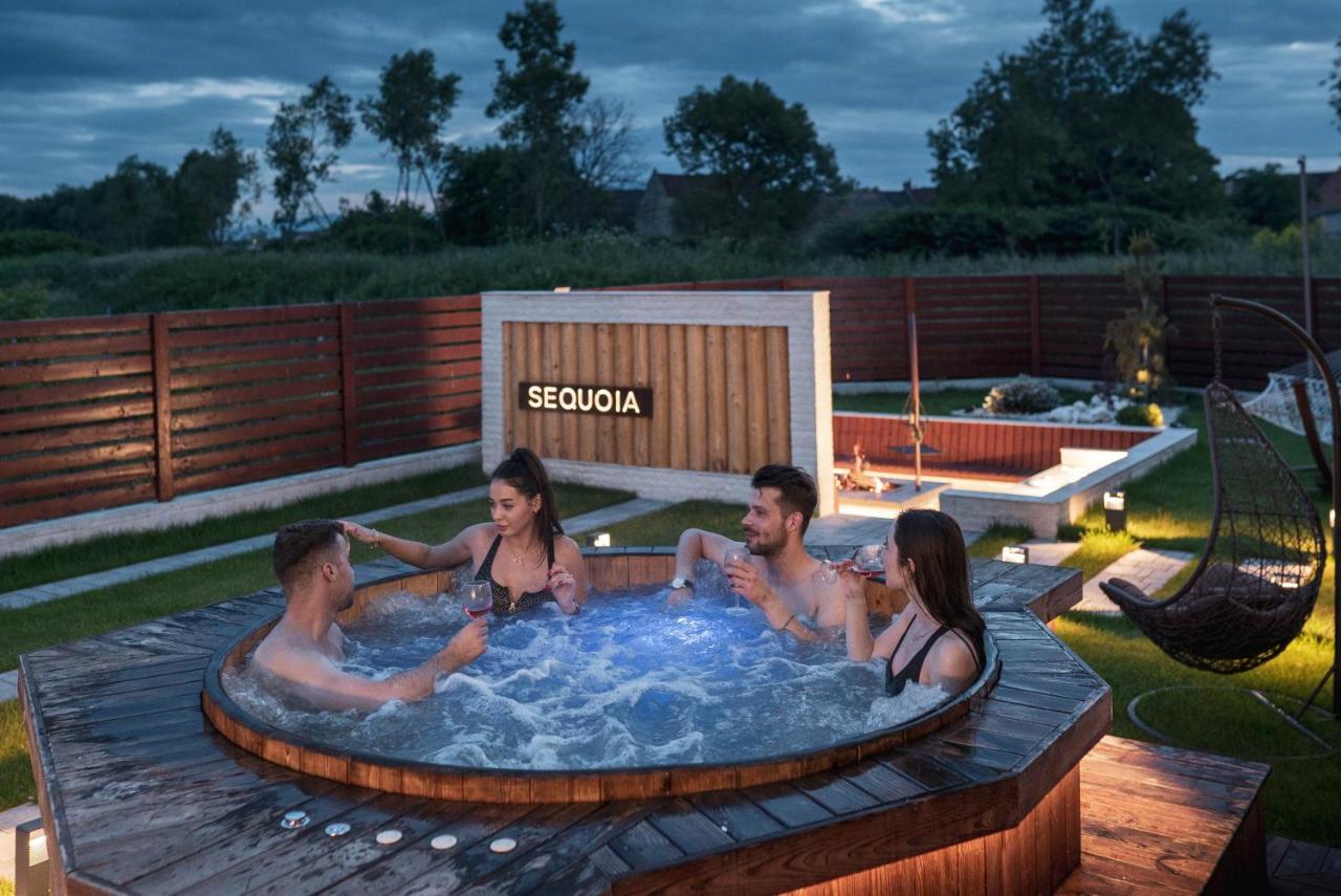 Roots Villa Sequoia Брашов Екстер'єр фото